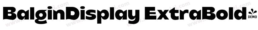 BalginDisplay ExtraBold字体字体转换